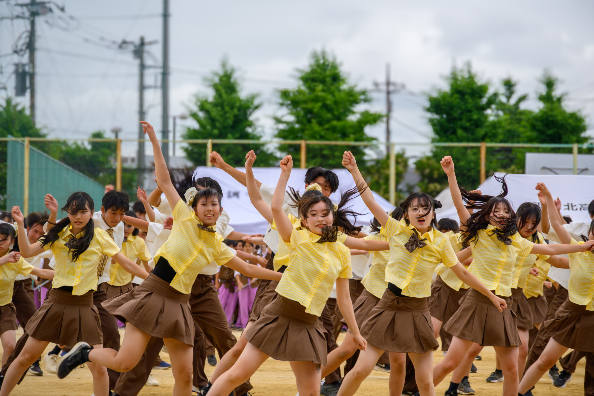 応援団１　DSC_4528